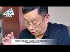 Zhuzhou Sanxin-Tungsten Carbide Precisión de la pieza de forma especial