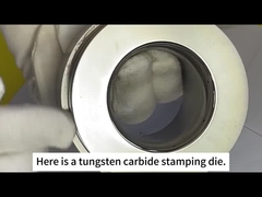 Zhuzhou Sanxin Carburo cementado - molde