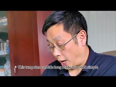 Zhuzhou Sanxin Carburo cementado - Cuchilla