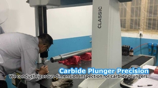 Inspección estricta del émbolo de carburo de alta precisión